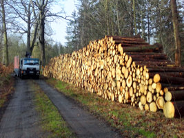 Holztransporte in Ostsachsen